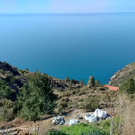 La Luna In Pesci Biassa