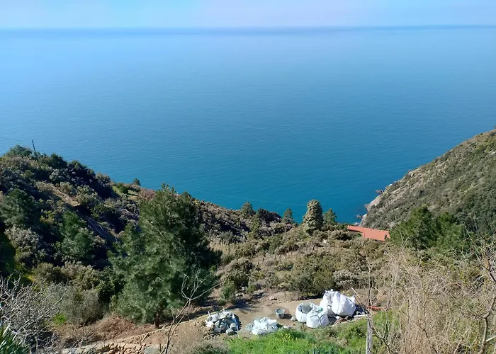 La Luna In Pesci Biassa